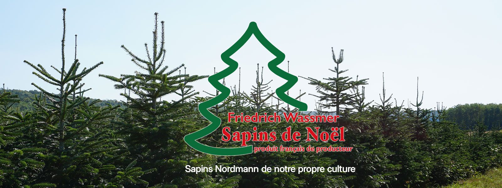 Header-Wassmer-Weihnachtsbaeume_franz2